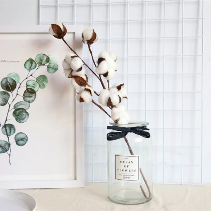 Natural Dried Cotton Flower Decoration White Flowers Branch Oranment For Wedding Party Home Decor
Natural Dried Cotton Flower Decoration White Flowers Branch Oranment For Wedding Party Home Decor