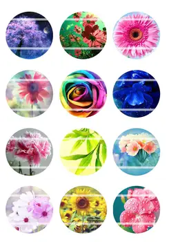Handmade Colorful picture Round Glass Cabochons Refrigerator magnet for Necklace Decoration and Phone Chain Accessaries389
Handmade Colorful picture Round Glass Cabochons Refrigerator magnet for Necklace Decoration and Phone Chain Accessaries389