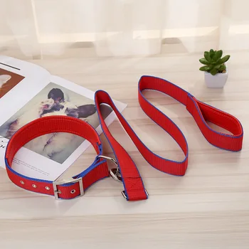 Big small and medium-sized dog supplies foam collar dog leash dog chain manufacturer wholesale
Big small and medium-sized dog supplies foam collar dog leash dog chain manufacturer wholesale