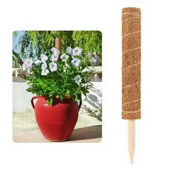 Coir Moss Pole Garden Coir Moss Stake For Plant Support Extension Indoor Climbing Plants Creepers
Coir Moss Pole Garden Coir Moss Stake For Plant Support Extension Indoor Climbing Plants Creepers
