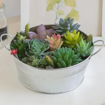 1Pc Nordic Iron Bucket for Gardening Antique Pot Plant Bucket Iron Pail Vintage Style Bucket Home Double Handle Pail(Silver) 
1Pc Nordic Iron Bucket for Gardening Antique Pot Plant Bucket Iron Pail Vintage Style Bucket Home Double Handle Pail(Silver)