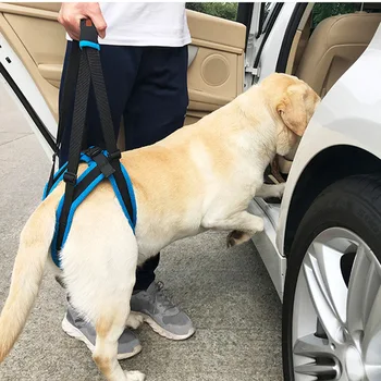 Doglemi Pet Dogs Aid Assist Tool Adjustable Dog Lift Harness For Back Legs Pet Support Sling Help Weak Legs Stand Up L
Doglemi Pet Dogs Aid Assist Tool Adjustable Dog Lift Harness For Back Legs Pet Support Sling Help Weak Legs Stand Up L