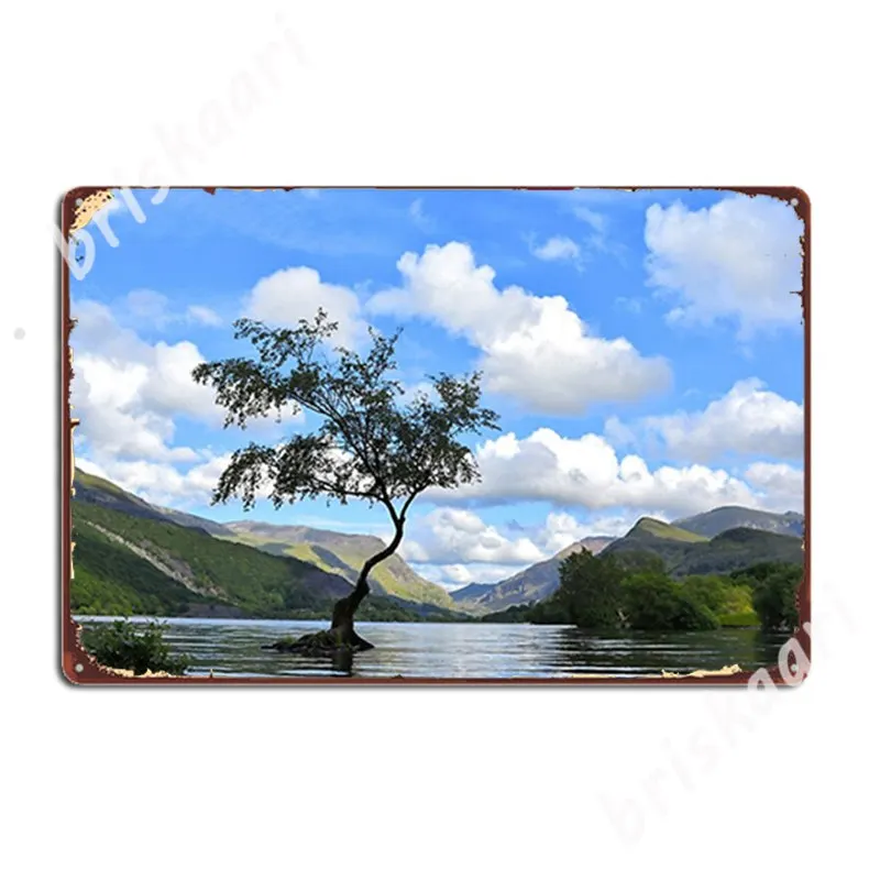 The Lonely Tree Metal Signs Club Home Kitchen Decoration Wall Decor Tin sign Posters
The Lonely Tree Metal Signs Club Home Kitchen Decoration Wall Decor Tin sign Posters