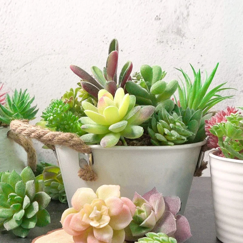 Artificial Succulents Plants Unpotted Realistic Plants Fake Succulent Picks for Home DIY Landscape Decorations 12Pcs
Artificial Succulents Plants Unpotted Realistic Plants Fake Succulent Picks for Home DIY Landscape Decorations 12Pcs