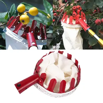Fruit Picker Red Metal Pruning Tools Fruit Catcher Collector Portable Hand Tool Outside Yard
Fruit Picker Red Metal Pruning Tools Fruit Catcher Collector Portable Hand Tool Outside Yard