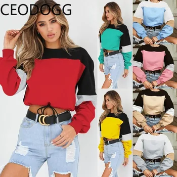 Ceodogg Fashion Contrast Color Patch Loose T Shirt Femlae O Neck Pullover Long Sleeve Tees Mutlicolor Wild Causal Ladies Top
Ceodogg Fashion Contrast Color Patch Loose T Shirt Femlae O Neck Pullover Long Sleeve Tees Mutlicolor Wild Causal Ladies Top