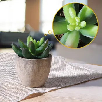 3pcs Faux Succulent Decorative with Pots Fake Mini Plants Ball Plants for Decoration Office Cute Design Succulent Planter Pot A3
3pcs Faux Succulent Decorative with Pots Fake Mini Plants Ball Plants for Decoration Office Cute Design Succulent Planter Pot A3