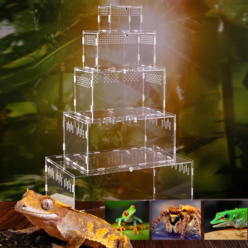 Reptile Breeding Box Acrylic Spider Lizard Scorpion Enti's Acrylic Assembled Transparent Insect Breathable Terrarium
Reptile Breeding Box Acrylic Spider Lizard Scorpion Enti's Acrylic Assembled Transparent Insect Breathable Terrarium