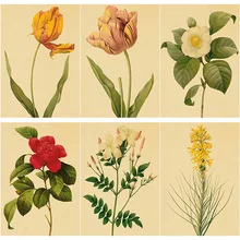 New 5D DIY Diamond Painting Cross Stitch Full Square Round Drill Specimen Flower Diamond Embroidery Home Decor Manual Art Gift
New 5D DIY Diamond Painting Cross Stitch Full Square Round Drill Specimen Flower Diamond Embroidery Home Decor Manual Art Gift