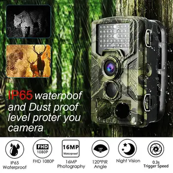 HC800A 1080P Waterproof High Definition Wildlife Animal Trail Hunting Camera Waterproof High Definition Animal Trail Hunting Cam
HC800A 1080P Waterproof High Definition Wildlife Animal Trail Hunting Camera Waterproof High Definition Animal Trail Hunting Cam