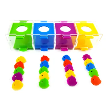 Color Separate Bird Ring Interactive Parrot Toy Set Intelligence Training Small Development Pet Funny Toys
Color Separate Bird Ring Interactive Parrot Toy Set Intelligence Training Small Development Pet Funny Toys