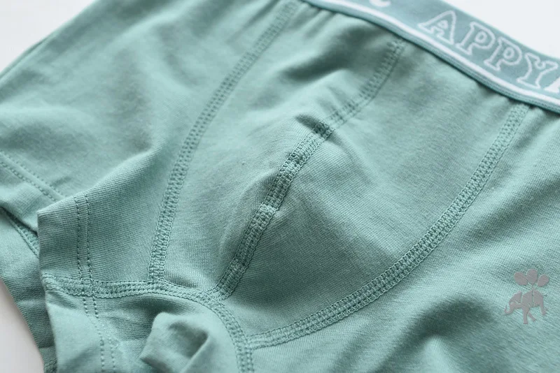 5pcs/lot Cotton Kids Underwear Boys Panties Boxer Shorts Underpants Print Soft Innerwear 2-16T High Quality Clothing 5pcs/lot Cotton Kids Underwear Boys Panties Boxer Shorts Underpants Print Soft Innerwear 2-16T High Quality Clothing