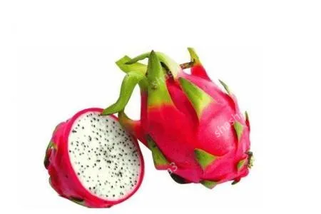 1000 pcs / bag Organic food Pitaya Bonsai Dragon Pitaya Fruit Garden Potted Tree Fruit-Tree-Plant Delicious Juicy Tropical Frui
1000 pcs / bag Organic food Pitaya Bonsai Dragon Pitaya Fruit Garden Potted Tree Fruit-Tree-Plant Delicious Juicy Tropical Frui