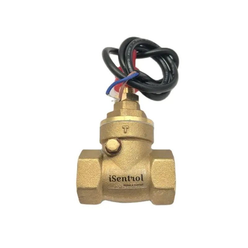 USB-FS21TA Baffle Type Flow Sensor Switch Reed Switch Brass Sensor Switch 5-15L/min 250V DC 70W 2 wire Saier Sensor
USB-FS21TA Baffle Type Flow Sensor Switch Reed Switch Brass Sensor Switch 5-15L/min 250V DC 70W 2 wire Saier Sensor