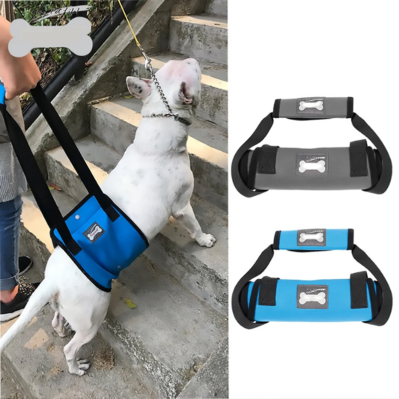 1 Dog Sling Lift Support Harness Leg Brace For Hind Leg Help Walking For Dogs Pet Balance Harness Auxiliary Belt
1 Dog Sling Lift Support Harness Leg Brace For Hind Leg Help Walking For Dogs Pet Balance Harness Auxiliary Belt