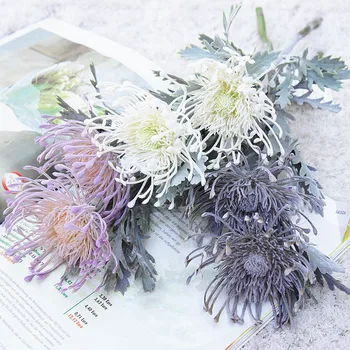Short Branch 2 Head Establish Wool xie zhua ju Model Multi-headed Pincushion Wind Wheel Flower Silk Flower Artificial Flowers Ph