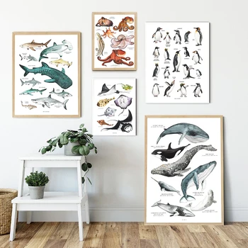 Child Poster Rays Octopus Whale Shark Marine Animal Nursery Canvas Art Print Education Wall Picture Painting Baby Kid Room Decor
Child Poster Rays Octopus Whale Shark Marine Animal Nursery Canvas Art Print Education Wall Picture Painting Baby Kid Room Decor