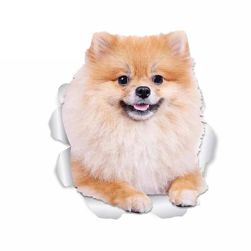 Creative Animal Funny Car Styling Car-Sticker and Decals Cover Scratches for Bumper Bodywork Windshield Suv Decoration Kk13*12cm
Creative Animal Funny Car Styling Car-Sticker and Decals Cover Scratches for Bumper Bodywork Windshield Suv Decoration Kk13*12cm