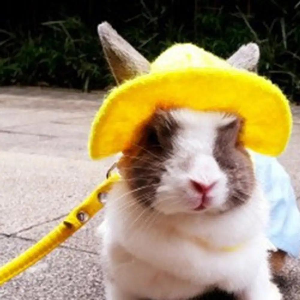 Small Animals Hats Rabbit Guinea Pig Hamster Hat Decorative Rabbit Cap Pet Festive Funny Hat Cap Head Accessories Pet Supplies
Small Animals Hats Rabbit Guinea Pig Hamster Hat Decorative Rabbit Cap Pet Festive Funny Hat Cap Head Accessories Pet Supplies