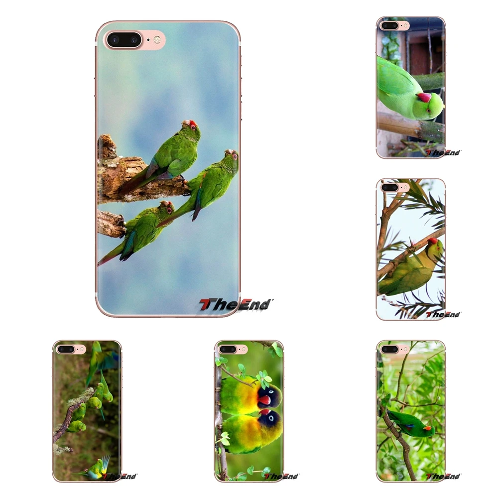 Small Green Parrot Birds Poster For iPhone XS Max XR X 4 4S 5 5S 5C SE 6 6S 7 8 Plus Samsung Galaxy J1 J3 J5 J7 A3 A5 Phone Case |