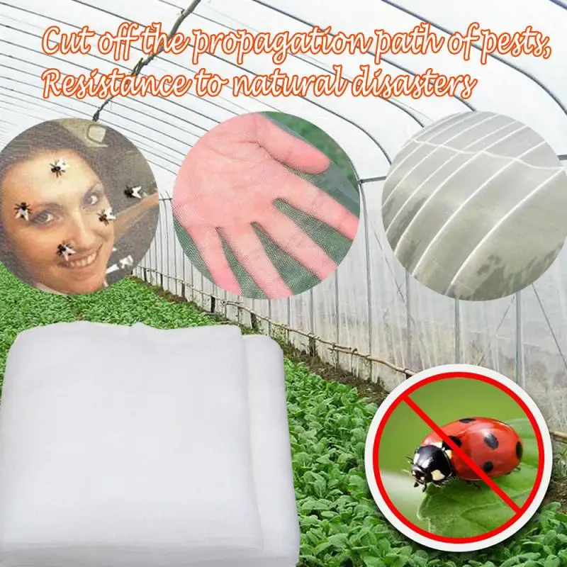 40Mesh With Taped Edge Fruit Tree Net Insect & Bird Net Pest Control Nylon Green Agriculture Garden Supply 60gsm Plant Covers
40Mesh With Taped Edge Fruit Tree Net Insect & Bird Net Pest Control Nylon Green Agriculture Garden Supply 60gsm Plant Covers