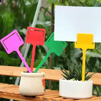 10Pcs Garden Labels Gardening Plant Classification Sorting Sign Tag Ticket Plastic Writing Plate Board Plug In Card Red Yellow
10Pcs Garden Labels Gardening Plant Classification Sorting Sign Tag Ticket Plastic Writing Plate Board Plug In Card Red Yellow