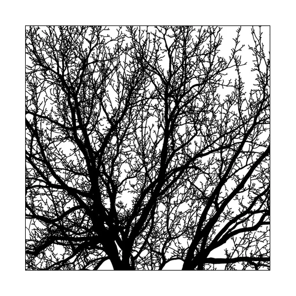 Drop Ship Big Trees DIY Silicone Clear Stamp Cling Seal Scrapbook Embossing Album Decor
Drop Ship Big Trees DIY Silicone Clear Stamp Cling Seal Scrapbook Embossing Album Decor