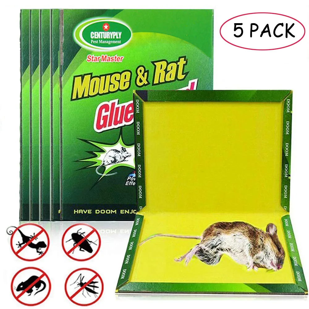 5 PCS Mouse Board Sticky Mice Glue Trap High Effective Rodent Rat Snake Bugs Catcher Pest Control Reject Non-toxic Eco-Friendly
5 PCS Mouse Board Sticky Mice Glue Trap High Effective Rodent Rat Snake Bugs Catcher Pest Control Reject Non-toxic Eco-Friendly