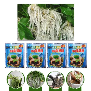 10 Packs Rooting Powder Fast Root Seedling Germination Aid For Improve Survival Rate 15g New
10 Packs Rooting Powder Fast Root Seedling Germination Aid For Improve Survival Rate 15g New