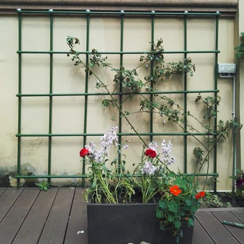Shelves Climb Arbor Gardening Flower Rack Garden Balcony Flower Climbing Rack Botany Beans Cucumber Frame Grape Frame Outdoors
Shelves Climb Arbor Gardening Flower Rack Garden Balcony Flower Climbing Rack Botany Beans Cucumber Frame Grape Frame Outdoors
