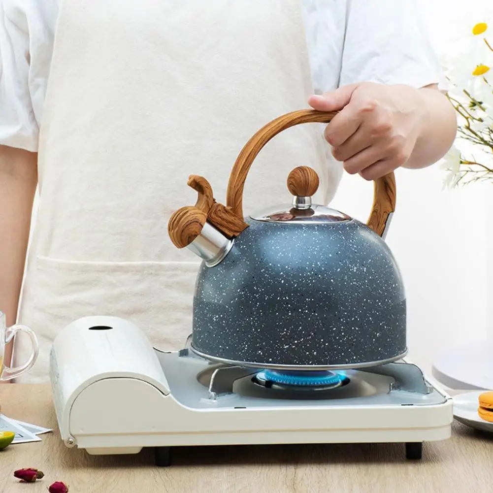 Generic 3L Stainless Steel Whistling Tea Kettle Stovetops Enamel Best Price Online Jumia Kenya