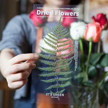 8 Designs 6Pcs/set Plant Leaves Flower Deco Diary Sticker Scrapbooking Planner Album DIY Decorative Stationery Stickers
8 Designs 6Pcs/set Plant Leaves Flower Deco Diary Sticker Scrapbooking Planner Album DIY Decorative Stationery Stickers