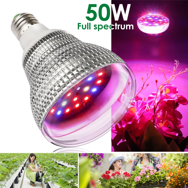 LED Grow Light Full Spectrum 120W E27 IR LED Growing Bulb Fitolamp for Indoor Hydroponics Tent Flowers Plants LED Growth Lamp
LED Grow Light Full Spectrum 120W E27 IR LED Growing Bulb Fitolamp for Indoor Hydroponics Tent Flowers Plants LED Growth Lamp