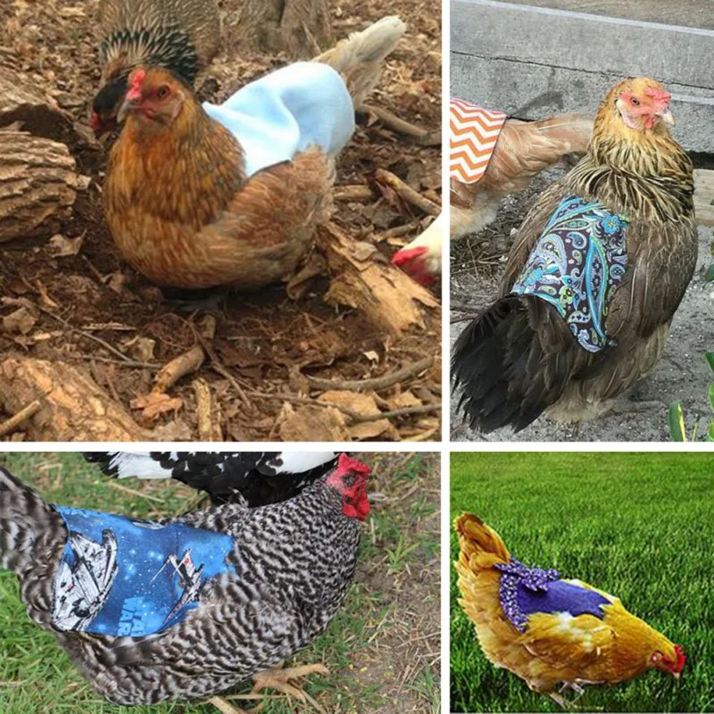 Adjustable Pet Clothes Hen Apron Poultry Hen Saddle Apron Chicken Feather Back Protector Wing Protection Vest M
Adjustable Pet Clothes Hen Apron Poultry Hen Saddle Apron Chicken Feather Back Protector Wing Protection Vest M