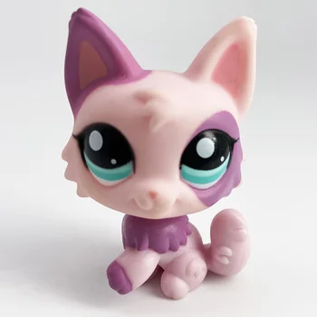Rare Lps Pet Shop Toy Hulk Captain America Spaniel PinkDog Black Short Hair Cat Collection Action Standing Children'sGift
Rare Lps Pet Shop Toy Hulk Captain America Spaniel PinkDog Black Short Hair Cat Collection Action Standing Children'sGift
