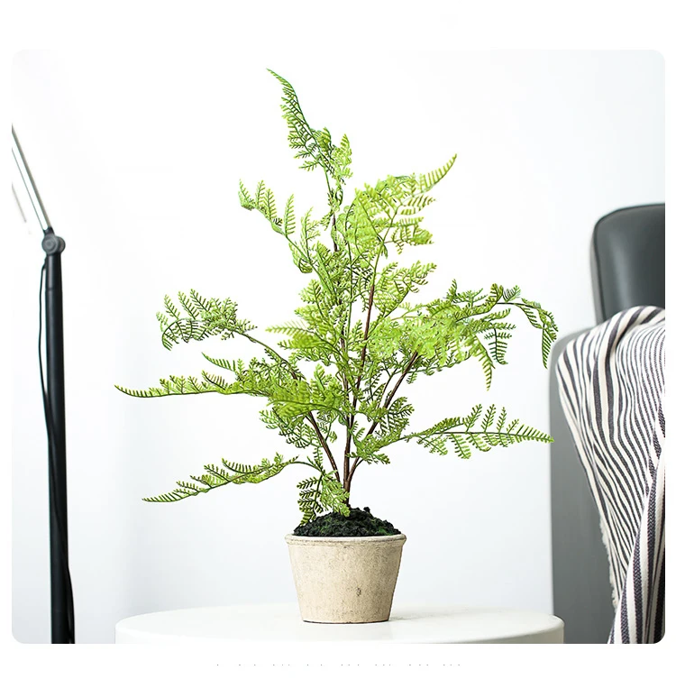 Simulation Small Potted Leaf Fern Desktop Potted Fern Persian Fern Living Room Decoration Artificial Green Plants Home Accessori
Simulation Small Potted Leaf Fern Desktop Potted Fern Persian Fern Living Room Decoration Artificial Green Plants Home Accessori