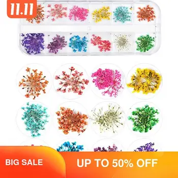 3D Dry Dried Flowers For Nails 2 Boxes Manicure Art 12 Kinds Tiny Small Pressed Dried Real Flowers For Nails With Case HIAISB
3D Dry Dried Flowers For Nails 2 Boxes Manicure Art 12 Kinds Tiny Small Pressed Dried Real Flowers For Nails With Case HIAISB