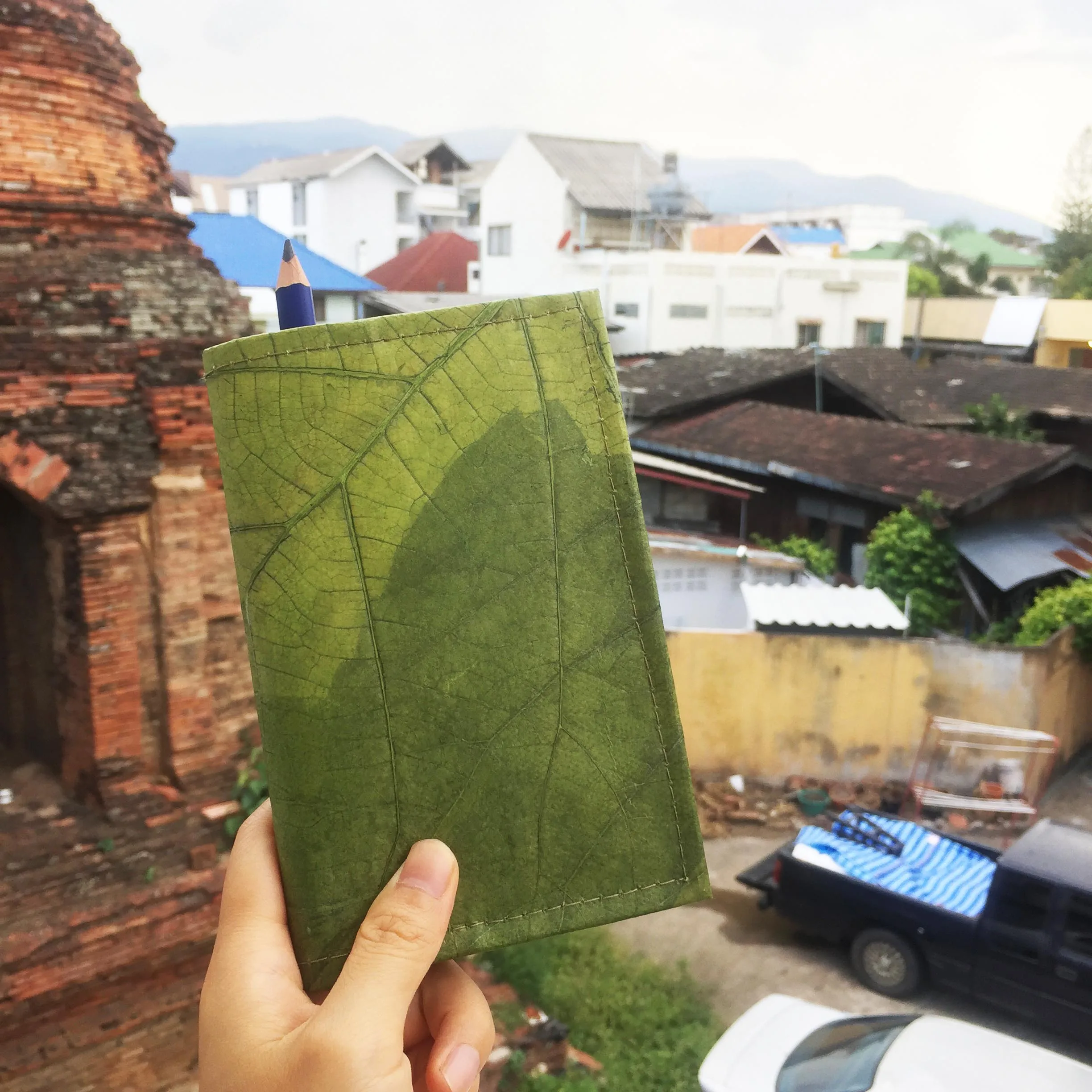 Natural texture of leaves pattern Travel Notebook Journal Agenda Planner Line Blank Grid page Notepad Office Stationery Supplies
Natural texture of leaves pattern Travel Notebook Journal Agenda Planner Line Blank Grid page Notepad Office Stationery Supplies