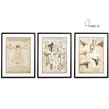 Framed art Da Vinci anatomy study vitruvian shoulder and leg picture frame with matboard
Framed art Da Vinci anatomy study vitruvian shoulder and leg picture frame with matboard