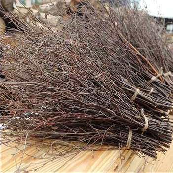 Birch Branches Small Tree Bundle Birch Trunk Forest Background Decoration Props DIY Natural Tree Branches Materials
Birch Branches Small Tree Bundle Birch Trunk Forest Background Decoration Props DIY Natural Tree Branches Materials