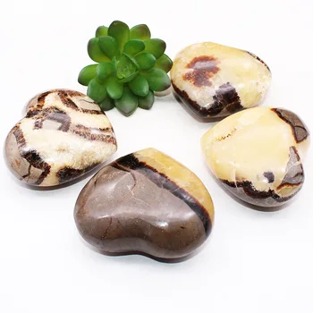 Natural crystal playing with natural tortoise shell stone original stone heart shaped handpiece mineral crystal specimen stone
Natural crystal playing with natural tortoise shell stone original stone heart shaped handpiece mineral crystal specimen stone