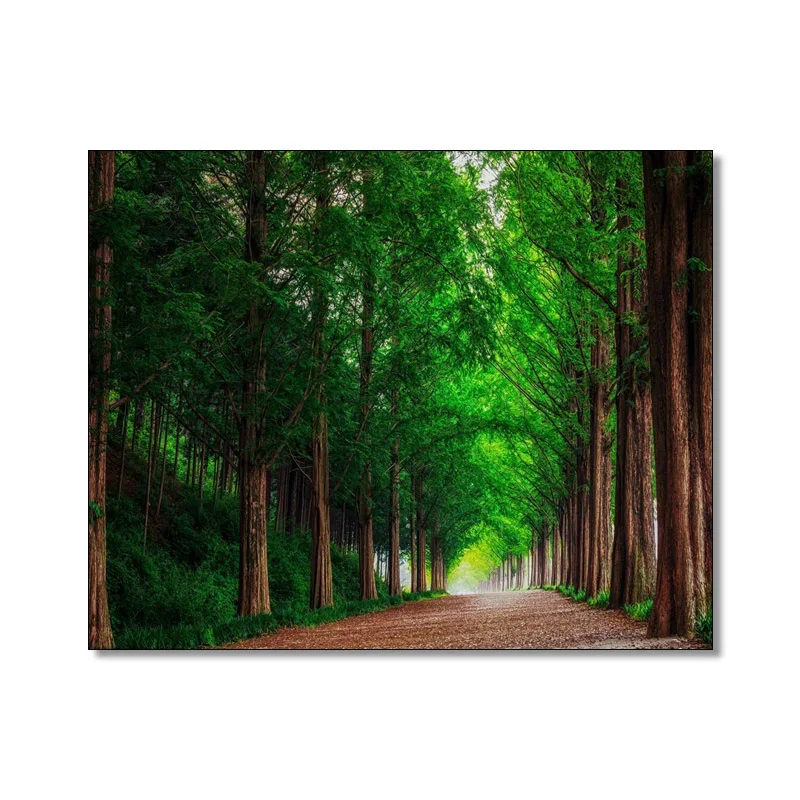 Spring Forest Path Scenery Posters Prints Wall Art Canvas Painting Calligraphy Home Decor Picture Living Room Bedroom Decoration
Spring Forest Path Scenery Posters Prints Wall Art Canvas Painting Calligraphy Home Decor Picture Living Room Bedroom Decoration