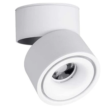 10W LED Warm White Light with Light Source Led Ceiling Light Living Room Ceiling Downlight
10W LED Warm White Light with Light Source Led Ceiling Light Living Room Ceiling Downlight