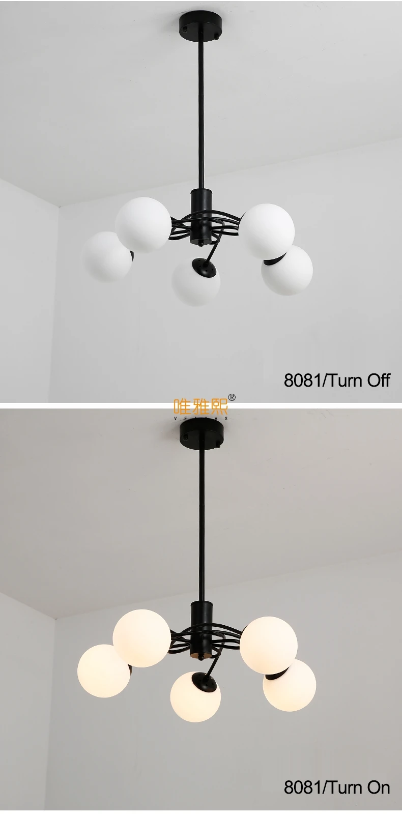 XC-8081 (7)