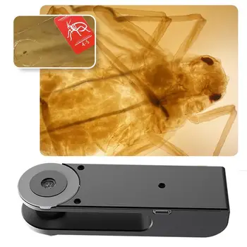 Mobile Phone Universal Microscope Hd Camera Supplementary Light Lens Microscope Lens 400X For iPhone Universal Android Came H3R1
Mobile Phone Universal Microscope Hd Camera Supplementary Light Lens Microscope Lens 400X For iPhone Universal Android Came H3R1