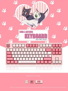 Akko 3087 Crystal mechanical keyboard original CHERRY axis Type-c interface 85% PBT keycap
Akko 3087 Crystal mechanical keyboard original CHERRY axis Type-c interface 85% PBT keycap