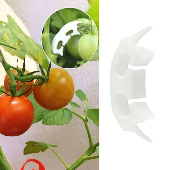 50pcs Tomato Fixing Clip Fruit Sapling Reinforcement Clip Spike Handle Anti-Bend Watermelon Hanging Seedling Clip Hanging Mand
50pcs Tomato Fixing Clip Fruit Sapling Reinforcement Clip Spike Handle Anti-Bend Watermelon Hanging Seedling Clip Hanging Mand