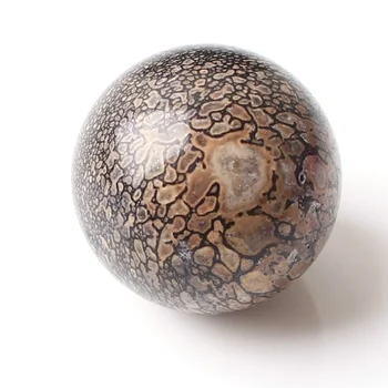 1Pc 20mm Small Natural Dinosaur Bones Fossil Sphere Polished Beads Ball No Hole Madagascar Healing Gift
1Pc 20mm Small Natural Dinosaur Bones Fossil Sphere Polished Beads Ball No Hole Madagascar Healing Gift