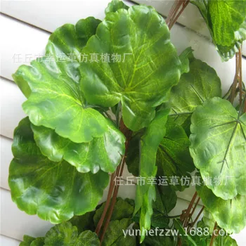 Model Begonia Leaves Vine Rattan Model Leaves Vine Bound Be Decoration Waterproof Sun-resistant Grape Leaves Fake Pot Rattan
Model Begonia Leaves Vine Rattan Model Leaves Vine Bound Be Decoration Waterproof Sun-resistant Grape Leaves Fake Pot Rattan