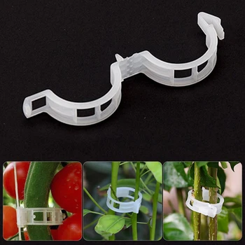 50pcs Plant Support Clip Orchid Clip Vine Support Plants Vines Plants Hanging Vine Garden Greenhouse Vegetables Tomatoes Clips
50pcs Plant Support Clip Orchid Clip Vine Support Plants Vines Plants Hanging Vine Garden Greenhouse Vegetables Tomatoes Clips